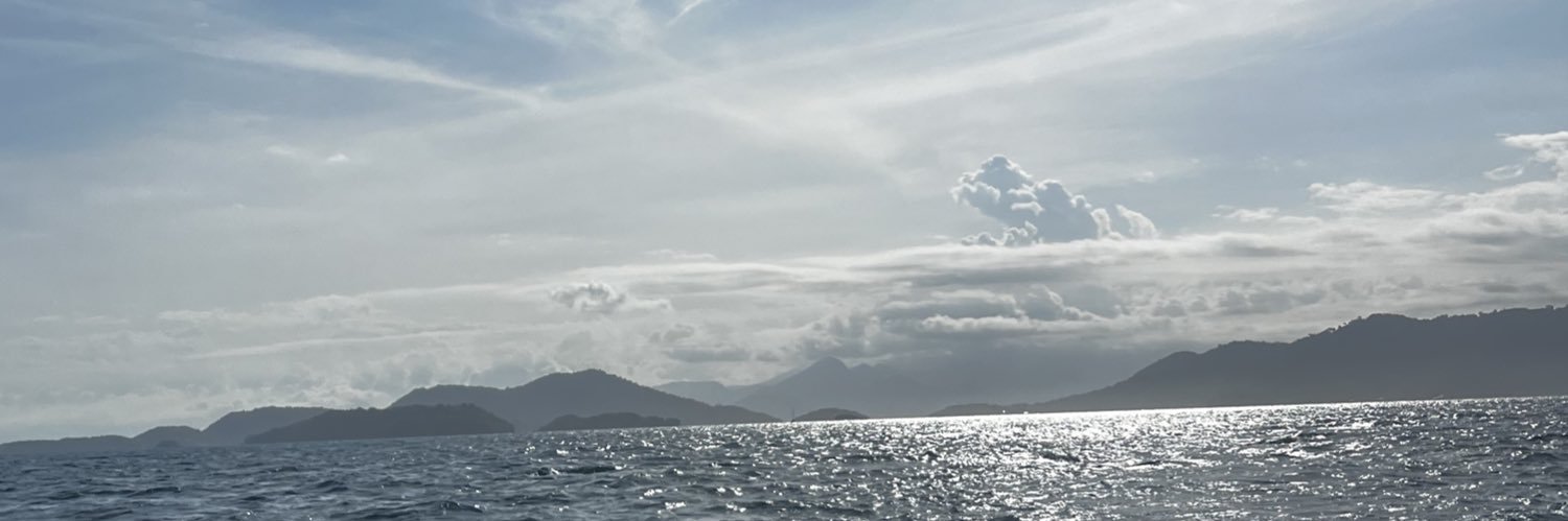 anadutraf's profile banner image