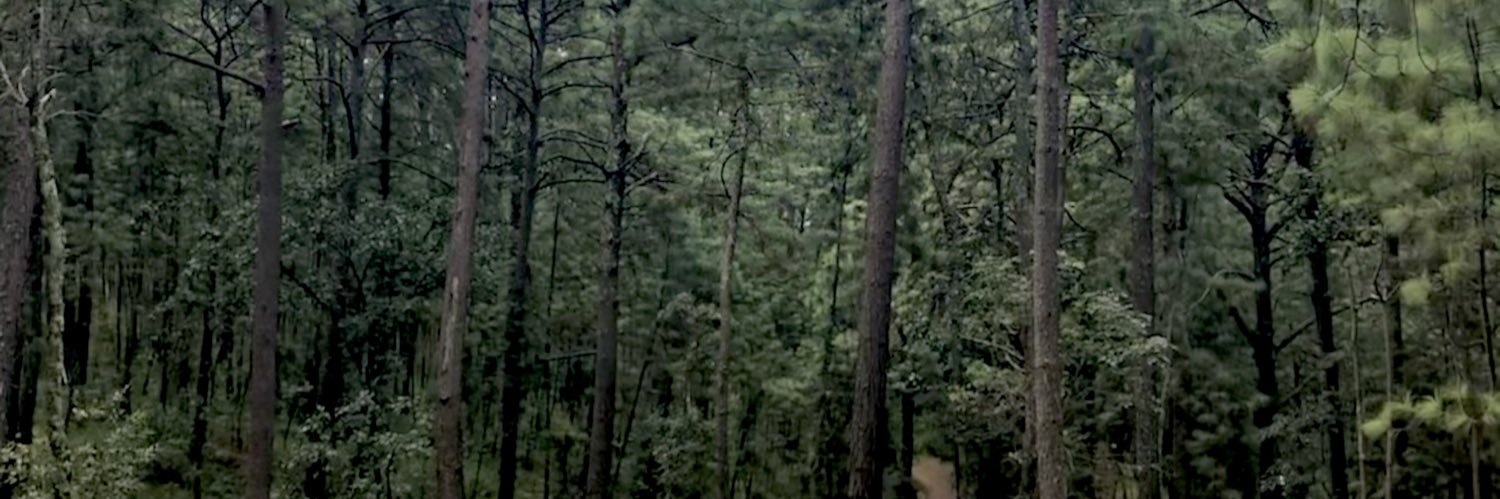 Aletme's profile banner image