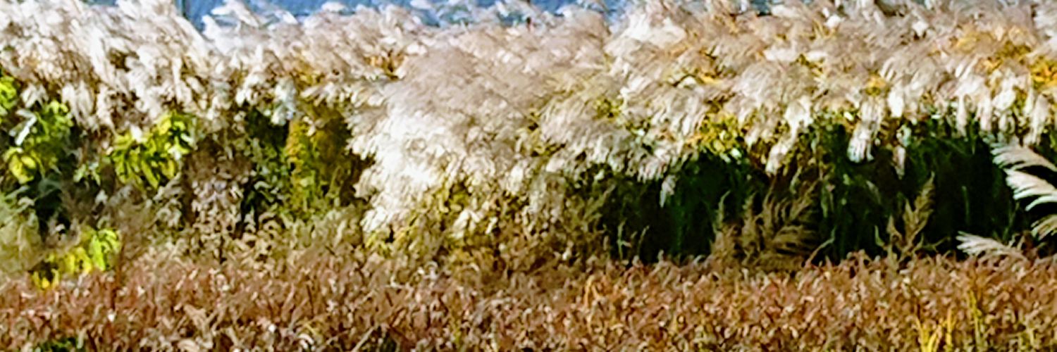 897_830's profile banner image