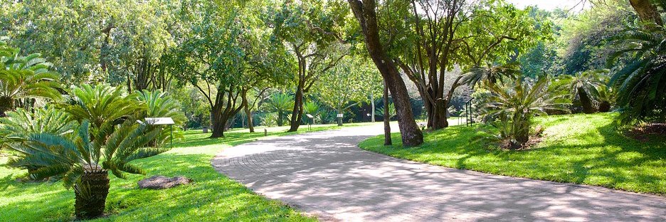 Lowveld National Botanical Garden banner