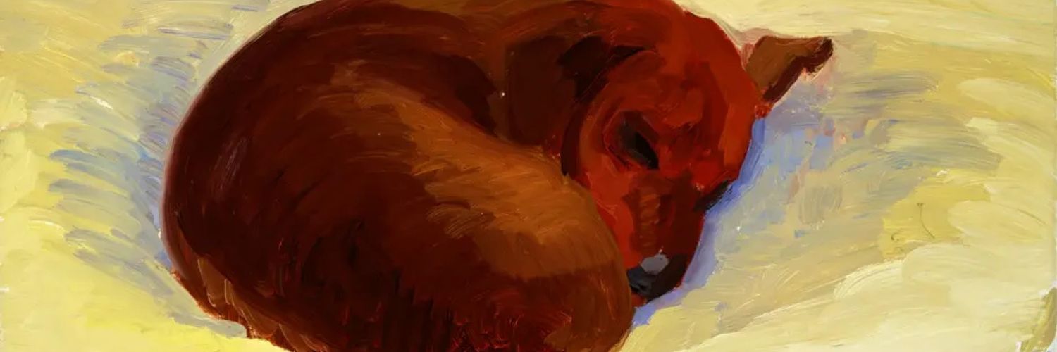 saramaia's profile banner image