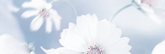 itsdrbrittanyb's profile banner image