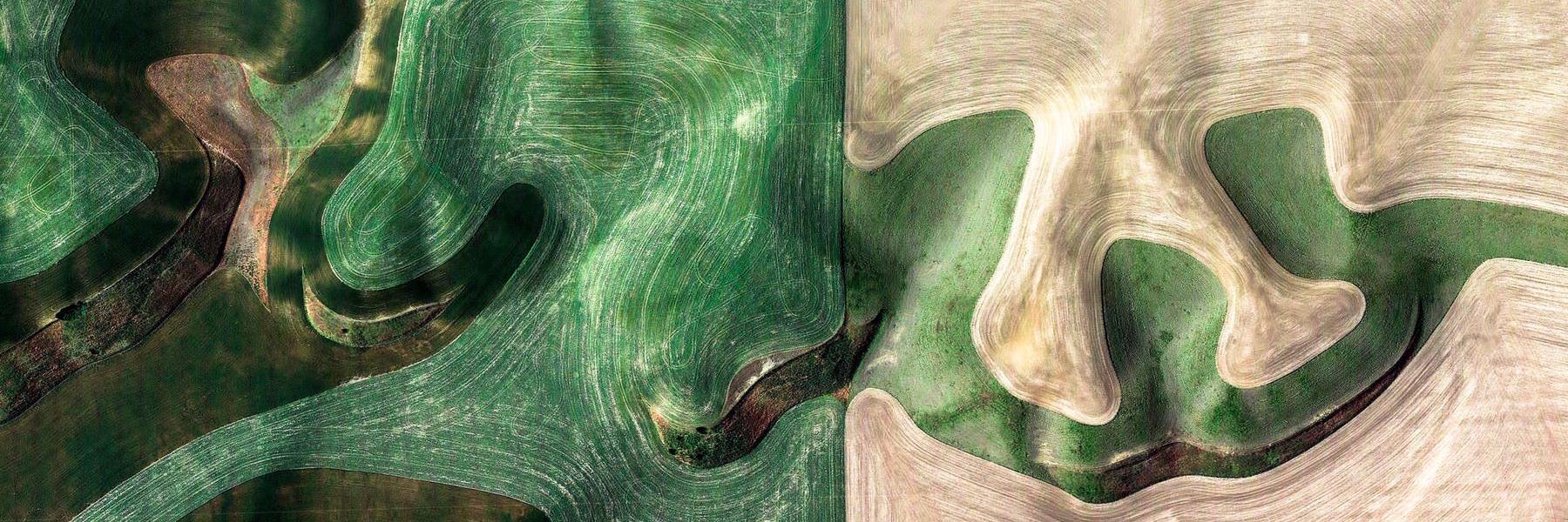 _lionshead's profile banner image