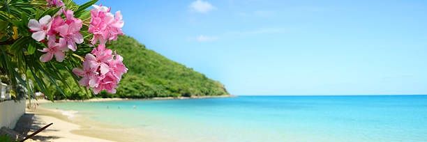 841_77's profile banner image