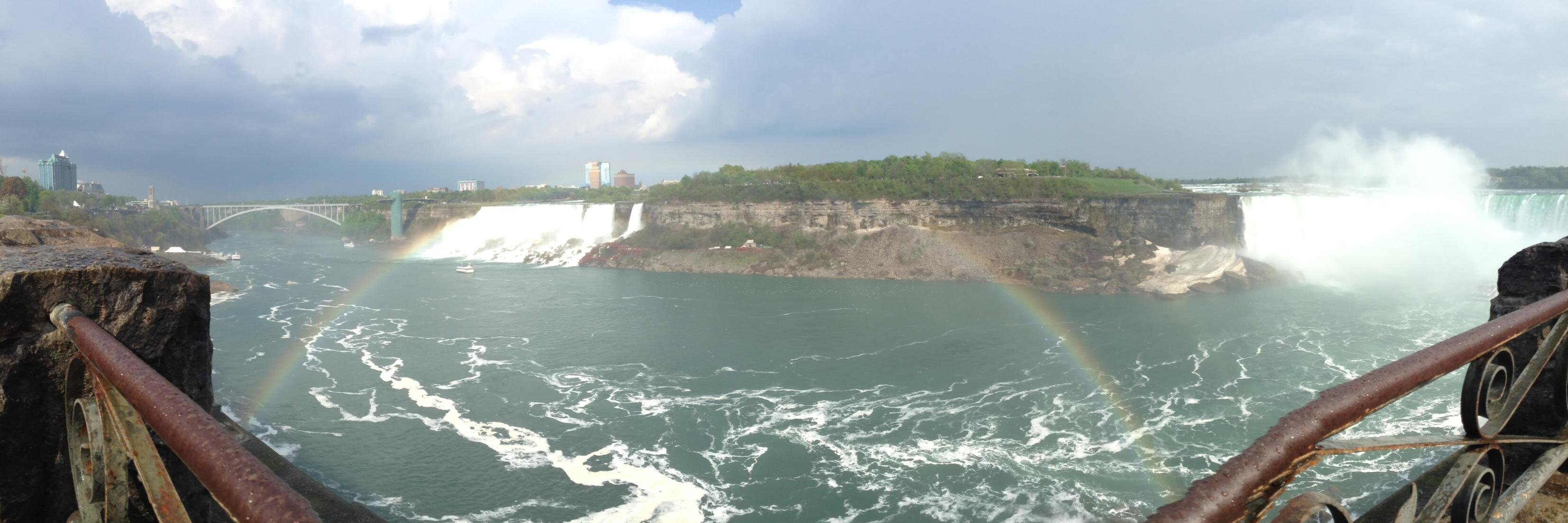 Dr. Jennifer Musial banner