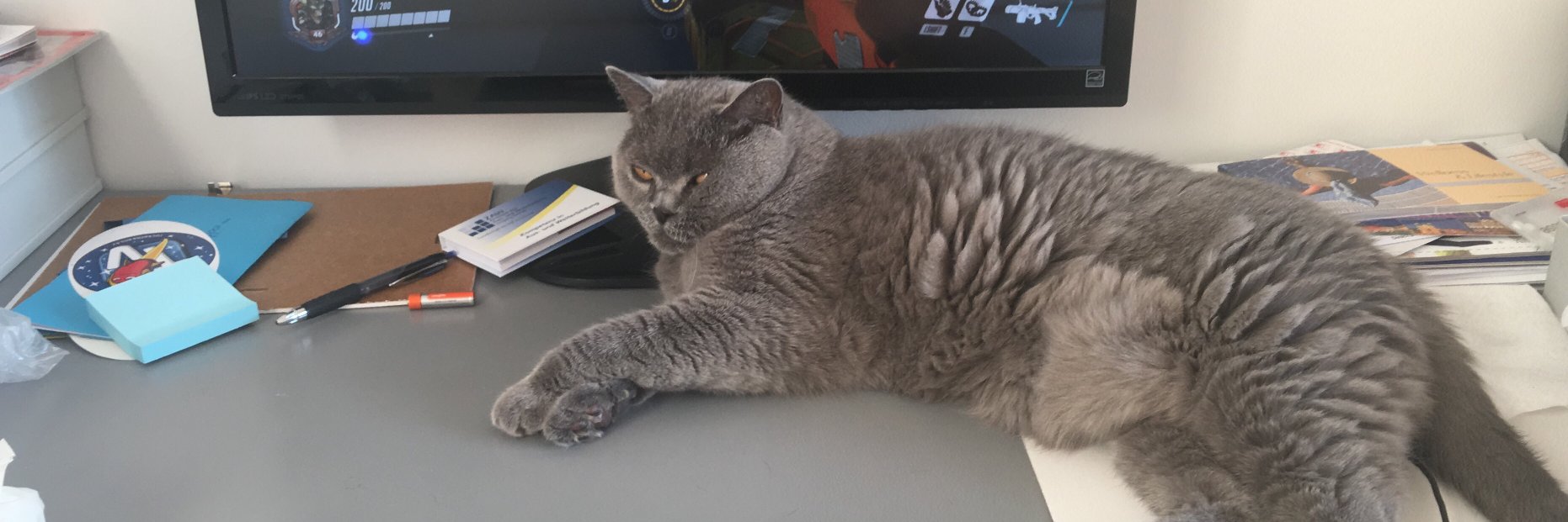 DonRonster's profile banner image
