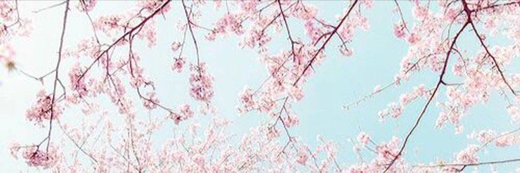KimberlyLuongo's profile banner image