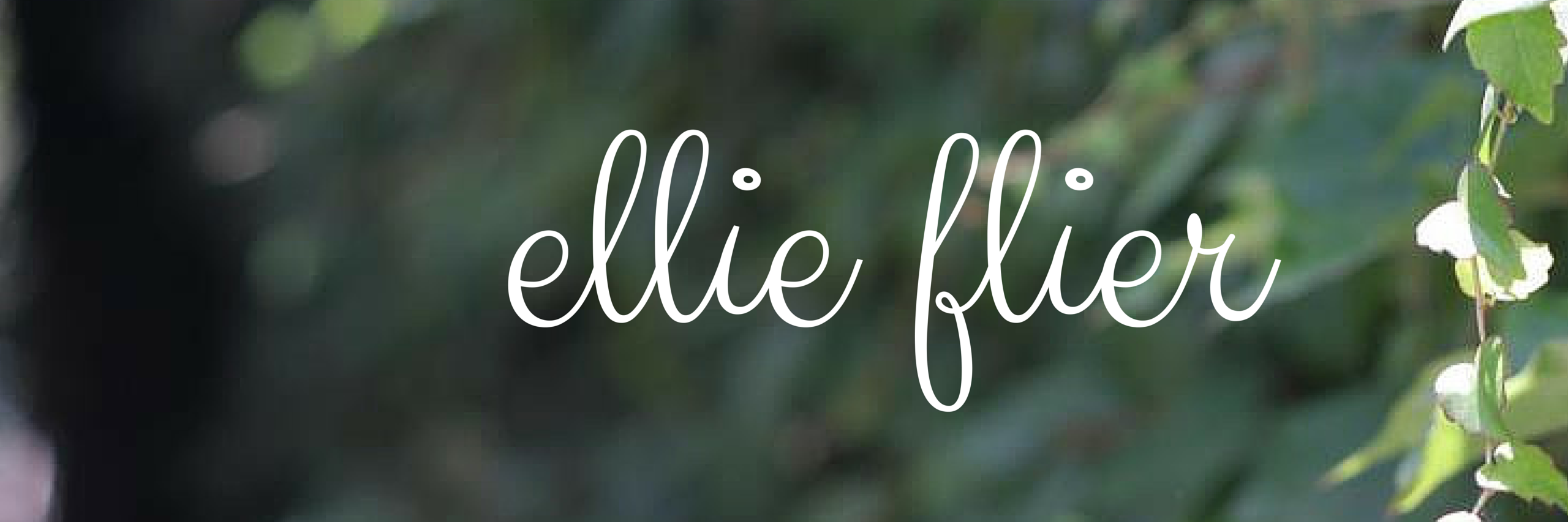 ellieflier's profile banner image