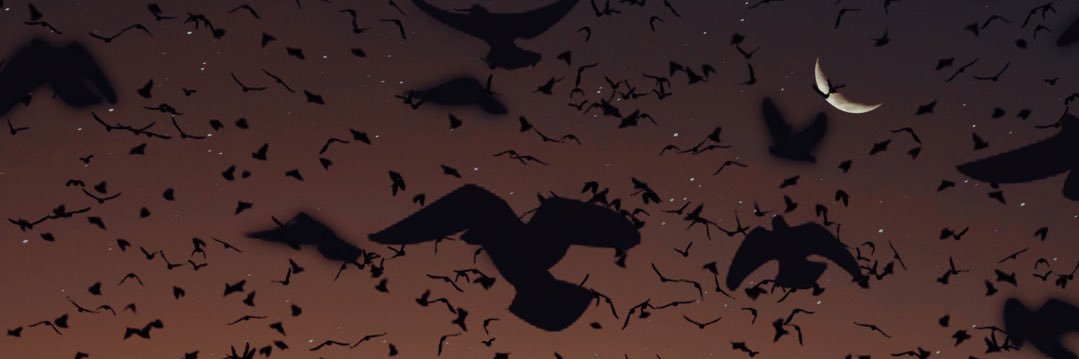 Semka259's profile banner image