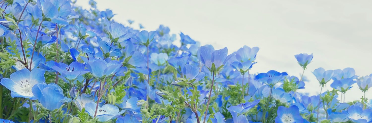 nirako_hs_216's profile banner image