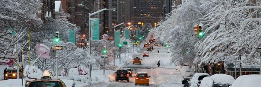 Oguz Sungec 🦁 banner