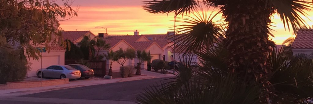 seanshanaki's profile banner image