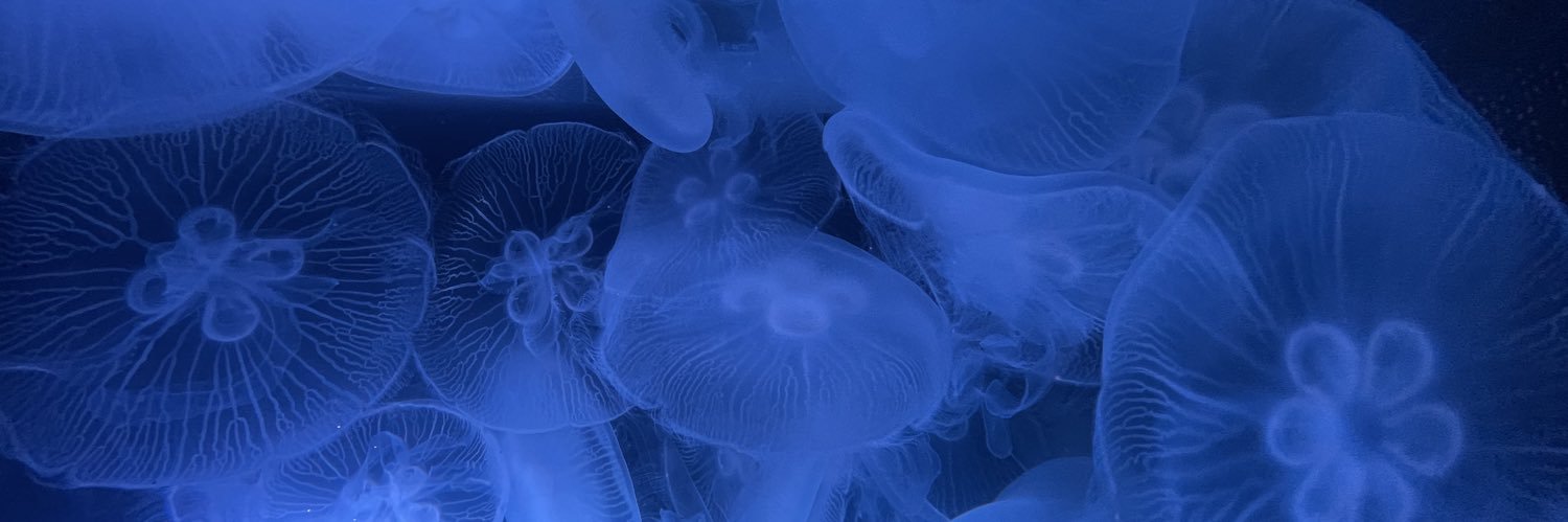 2281O327's profile banner image