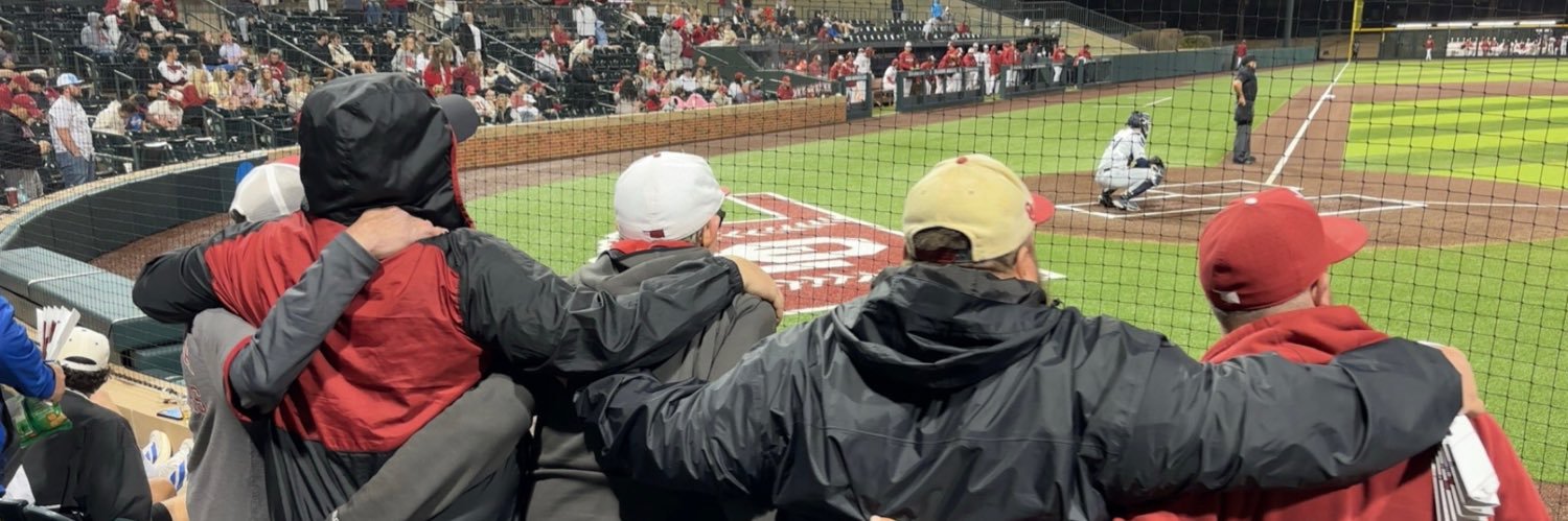 Johnny Baseball banner