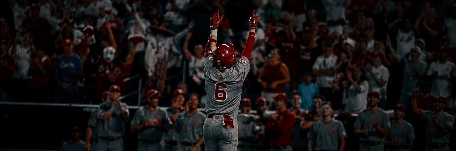 Johnny Baseball banner