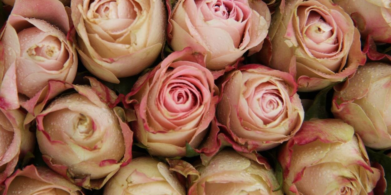 HLAWeddings's profile banner image