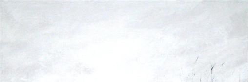 thisispugs's profile banner image