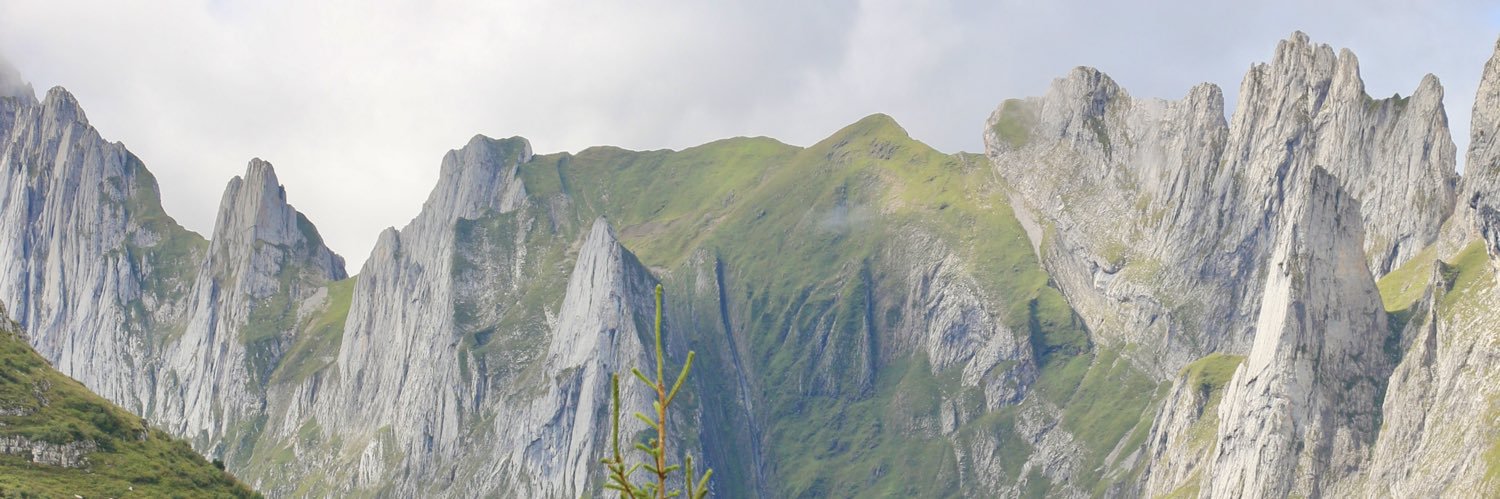 celinebteish's profile banner image