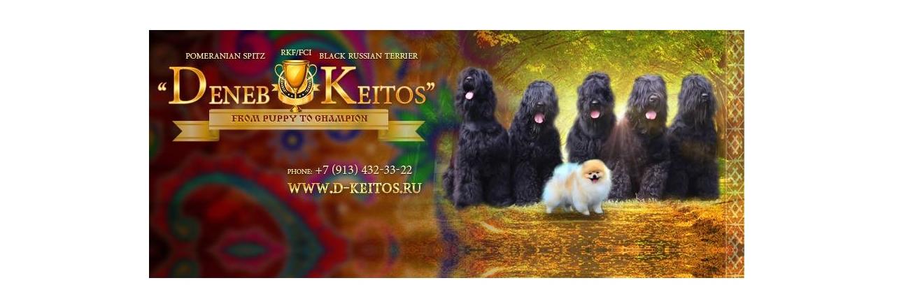 DenebKeitos's profile banner image