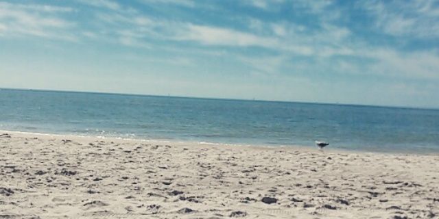 KrapflMandy's profile banner image