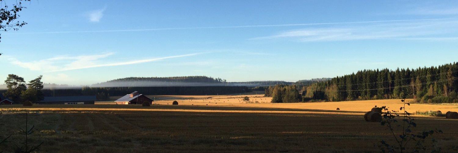 Leena Mörttinen banner