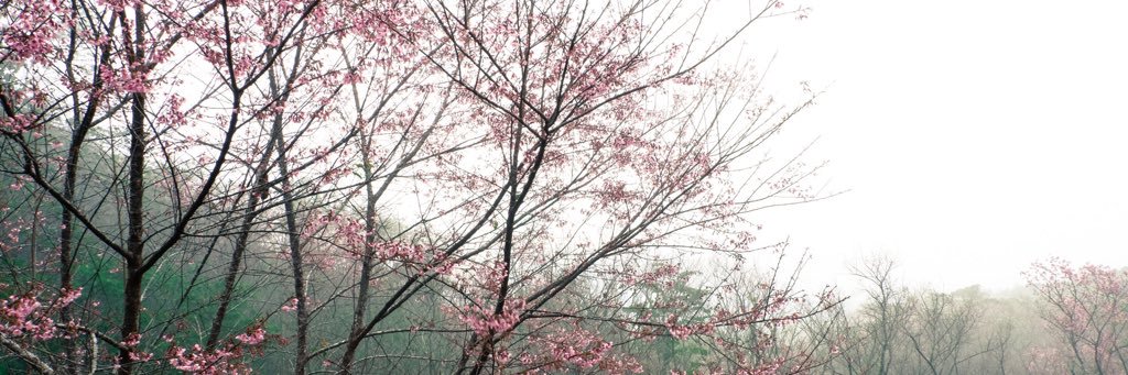 - c - banner