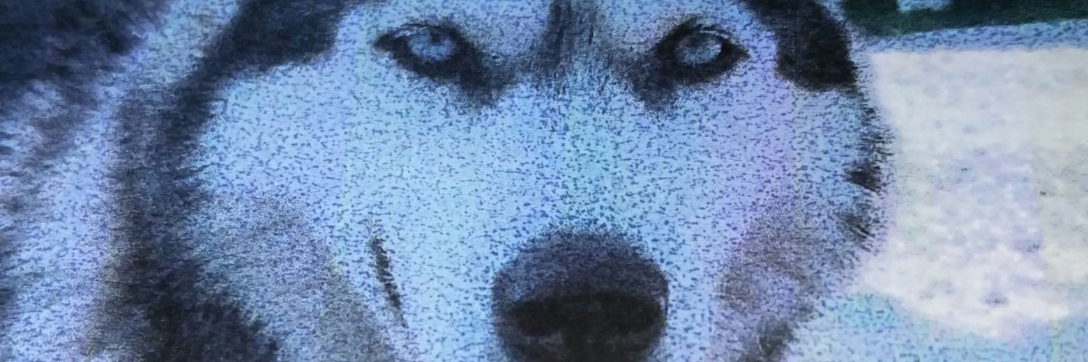 paolab111's profile banner image
