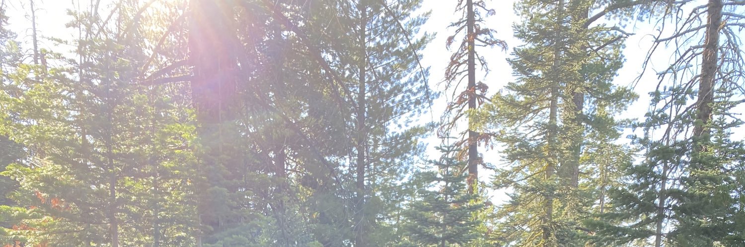 jcolethefirst's profile banner image