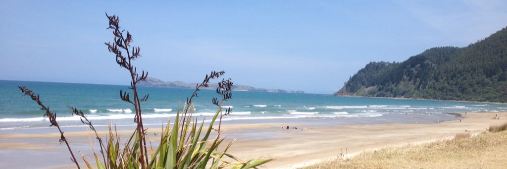 Alice Tipping banner