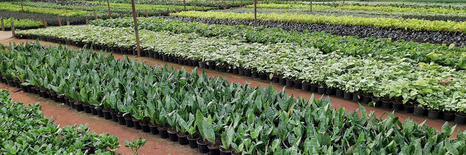 Vandana Chaudhary banner