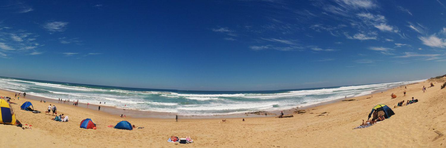 Stephen F. Coughlan banner