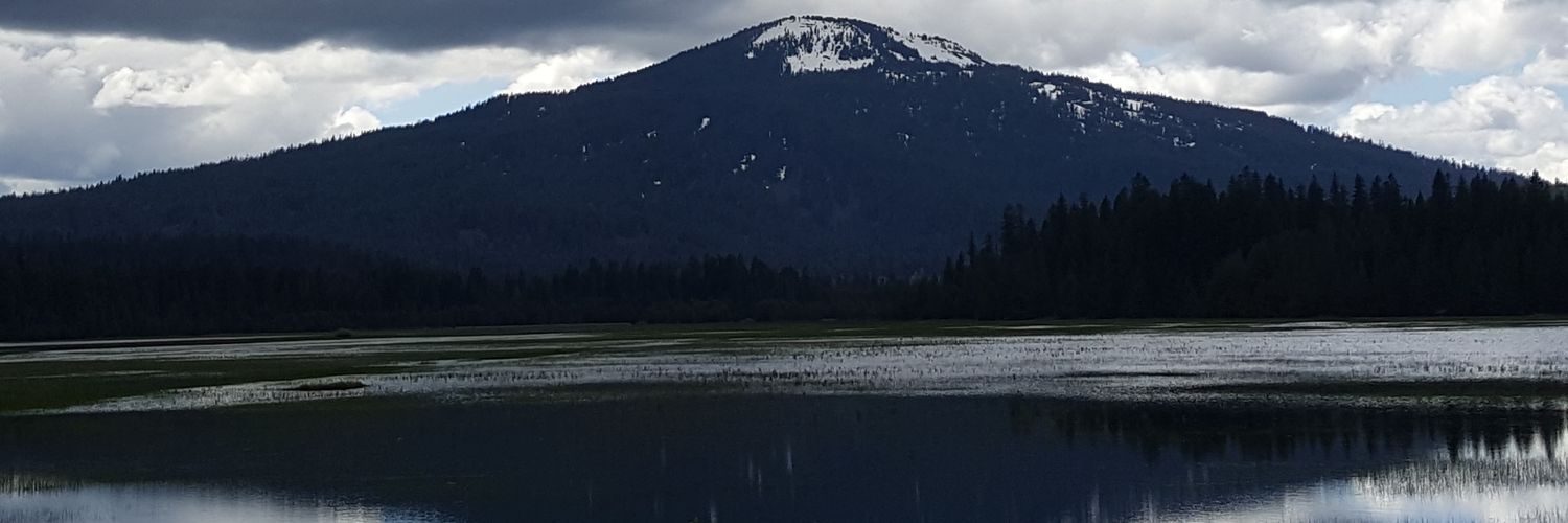 PoetrynPotions's profile banner image