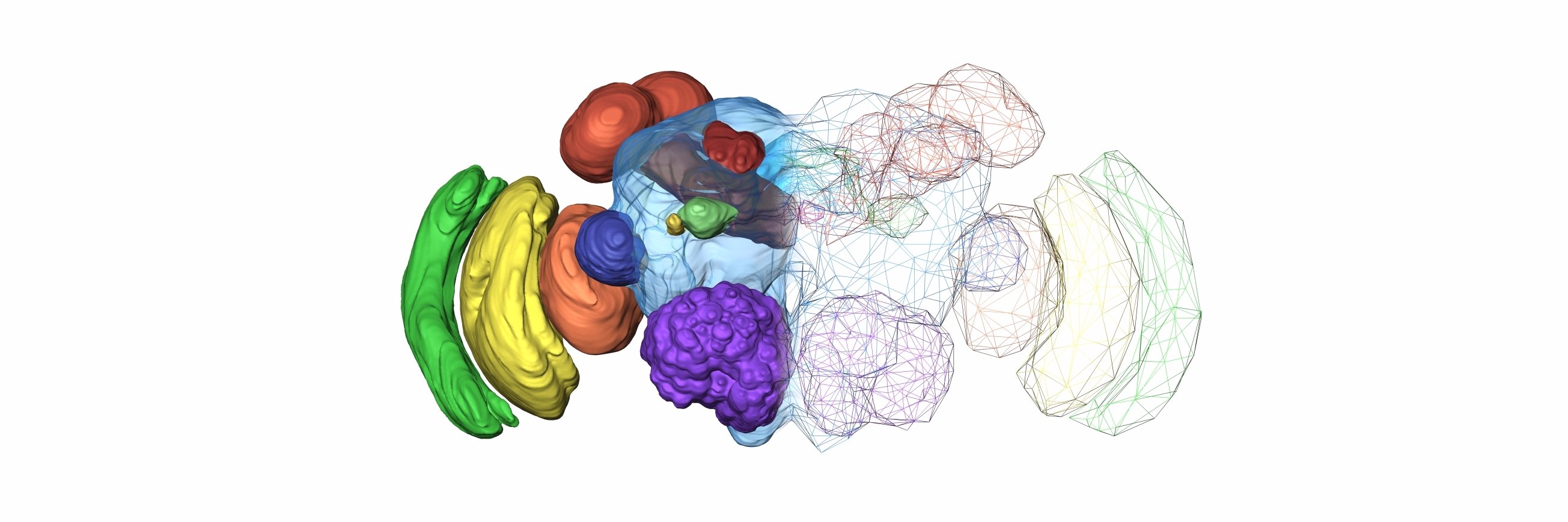 Jitte is at linktr.ee/jittebug banner