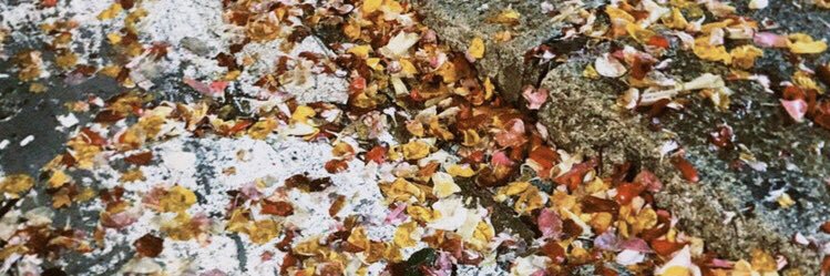 peterrc99's profile banner image