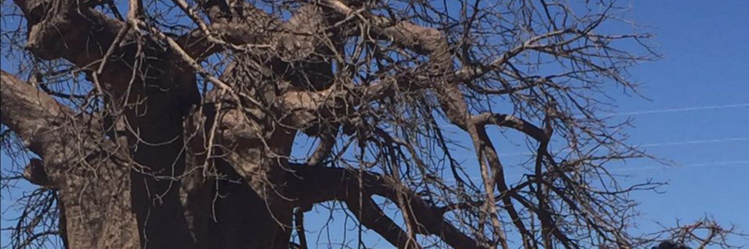 Eyerene❤️ banner