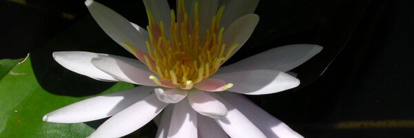 define058's profile banner image