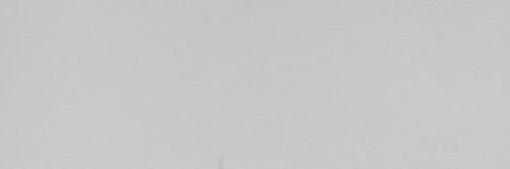 roray2539's profile banner image