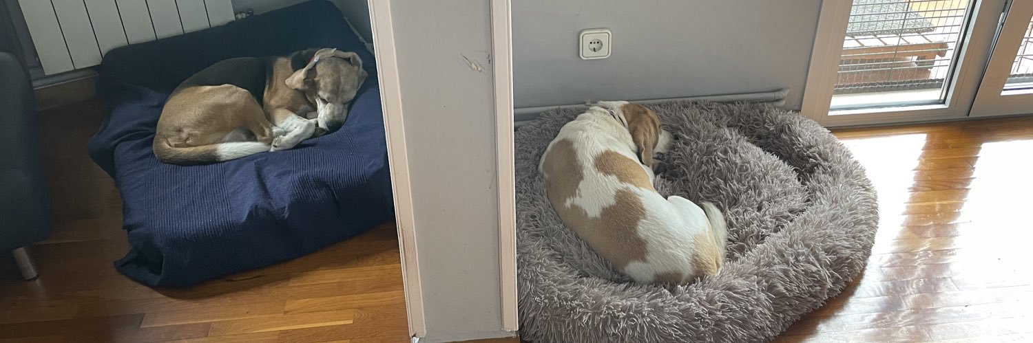 MONTSERRAT GARRIGA banner