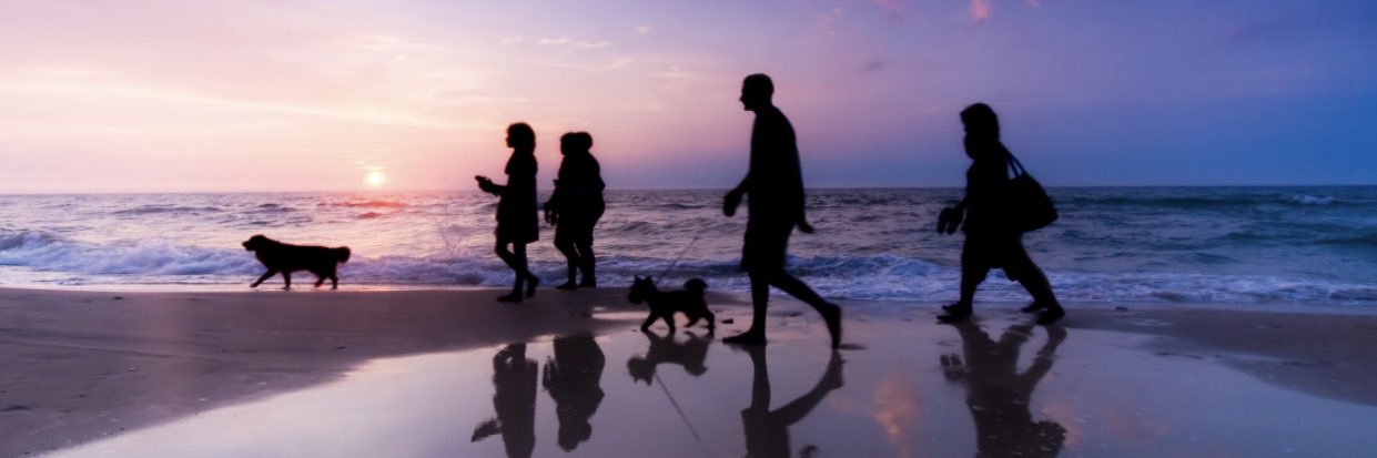 Mooney Everett banner