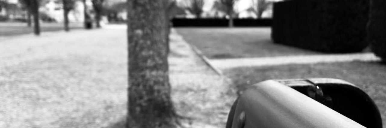 yolanst's profile banner image