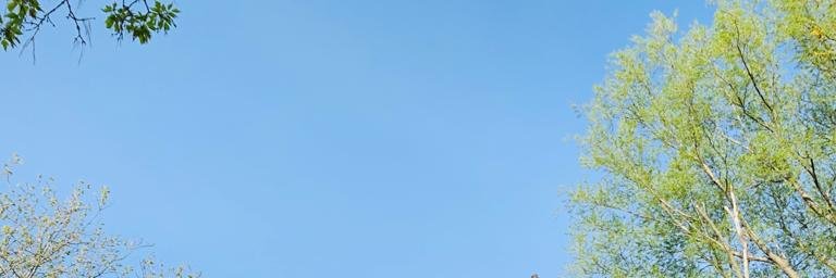 Umukanguramba's profile banner image