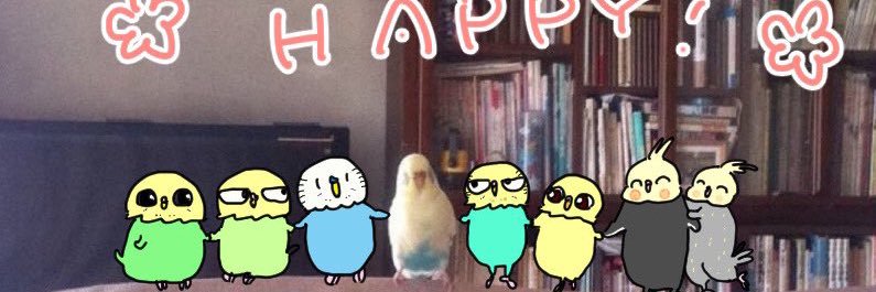 キバミのあんちゃん banner