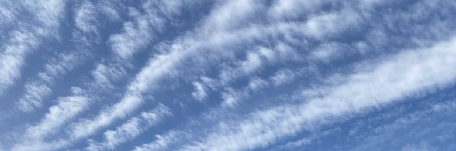 n_p0621's profile banner image