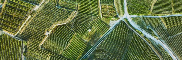 Agri_Investor Profile Banner