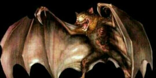 Alejandro 💯🦇🇪🇸🐺 banner