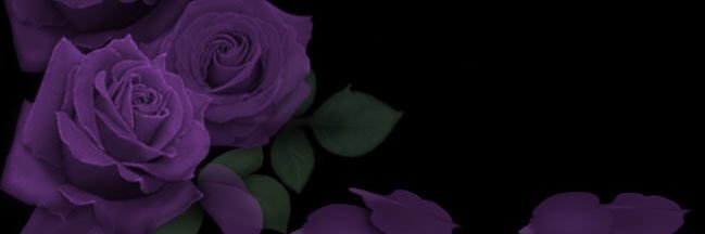 𝐴 banner