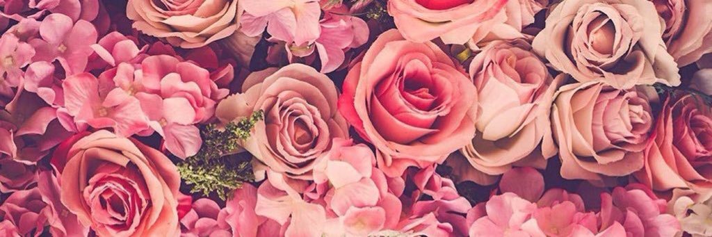 Nn0547's profile banner image