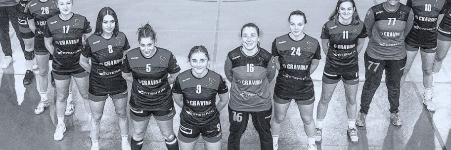 LovHandball's profile banner image