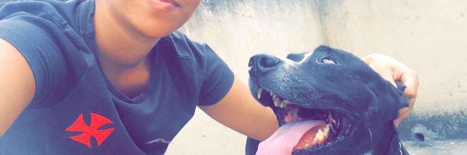 Aline Felippe banner