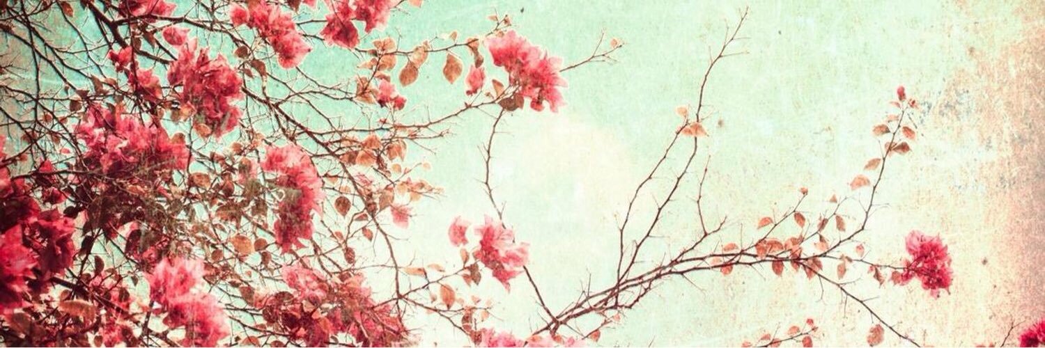 Oohjpl's profile banner image
